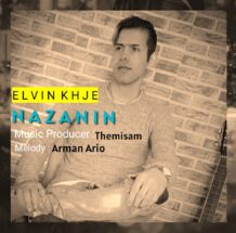 دانلود آهنگ جدید الوین خواجه به نام نازنین